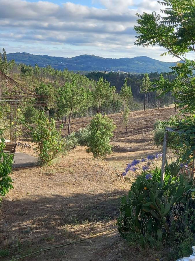 Vale De Garcia Al 5357 Villa Colos  Eksteriør billede